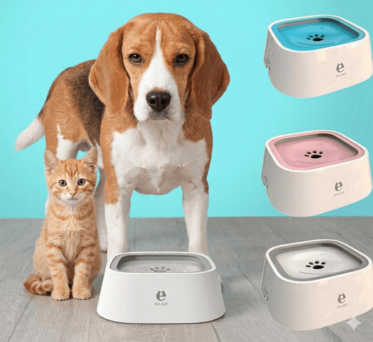 Bebedero Flotante para Perros – Antiderrame, Antideslizante, Gran Capacidad